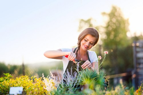 Gardener inspecting plants in an urban courtyard
