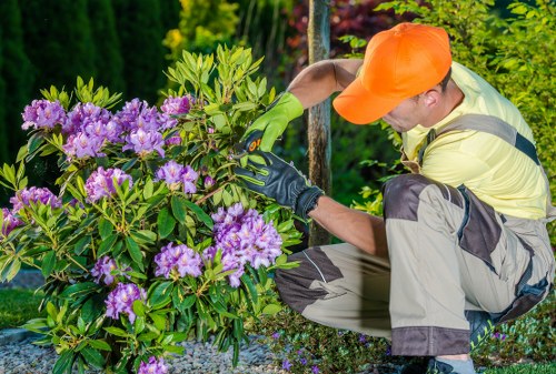 Gardener pruning shrubs in a Covent Garden courtyard