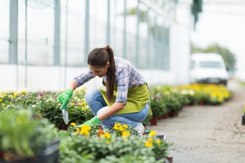 A woman wearing green gardening gloves and casual clothing, including a plaid shirt and jeans, is kneeling on a gravel pathway in a greenhouse or nursery environment. She is tending to a flower bed filled with colorful blooming flowers, primarily yellow and purple, with some green foliage. The garden layout features a neatly maintained flower bed alongside the pathway, with a background of glass or plastic panels and a white vehicle visible outside, indicating an outdoor or semi-outdoor setting in Covent Garden. The scene captures natural daylight, suggesting a bright and mild weather day. The overall outdoor space emphasizes organized planting, clean surfaces, and a professional approach to gardening, aligning with services offered by Gardening Services Covent Garden in maintaining and enhancing garden aesthetics and plant health.