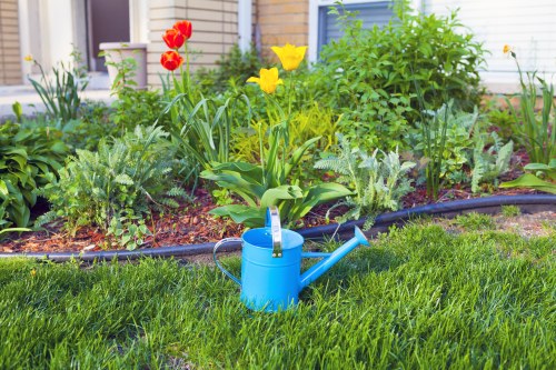Professional lawn mowing service in Covent Garden