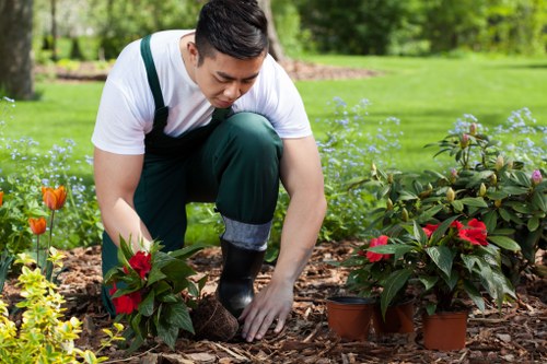 Professional garden clearance team at work in Covent Garden