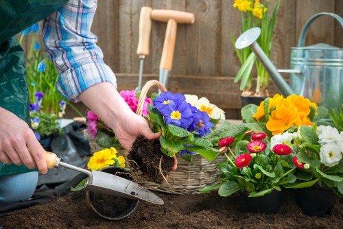 Eco-friendly lawn maintenance in Covent Garden