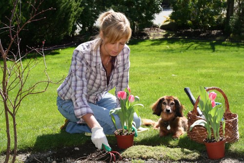 A woman with light brown hair dressed in a plaid shirt and jeans is kneeling on a well-maintained, lush green lawn in a garden, actively planting pink tulips in a small flower bed. She is using a gardening trowel and wearing white gardening gloves. To her right, a small, adorable brown puppy is sitting attentively, looking towards the camera. Nearby, there is a basket filled with pink tulip flowers and a few more potted plants, indicating recent planting activity. The garden features a neatly edged flower bed with dark soil, surrounded by dense foliage and trees providing shade. The background shows a vibrant, healthy lawn extending to a hedge boundary, with soft natural sunlight illuminating the scene, suggesting a clear, mild day. This outdoor space appears well-tended, with a natural mix of grass, soil, and flowering plants, reflecting professional gardening care likely provided by Gardening Services Covent Garden, serving the local area around postcode WC2 or central London.